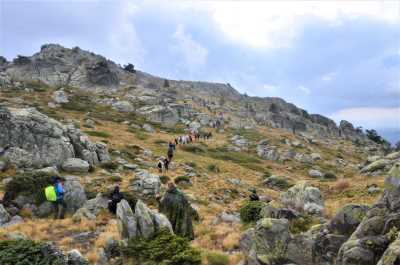 Bolu'da Doğa Yürüyüşü